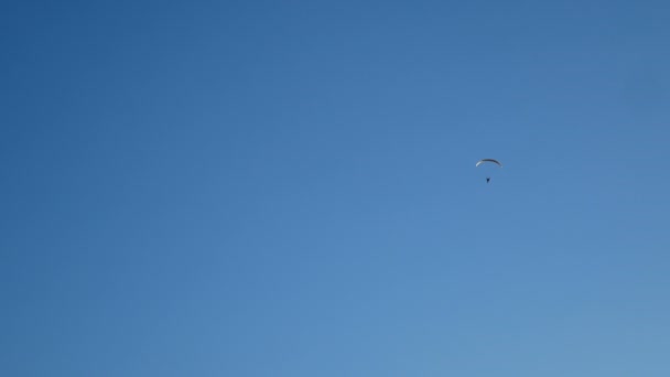 4Kパラシュート活動 青い曇りの空 極端なスポーツ ビーチでの夏の活動で乗客と飛ぶカラフルなパラシュートの翼 — ストック動画