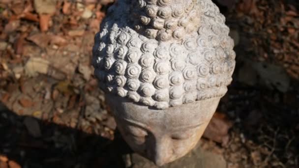 Imagens Rosto Calmo Pacífico Antiga Cabeça Estátua Adoração Buddha Iluminada — Vídeo de Stock