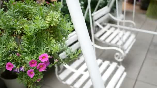 Dos Columpios Blancos Vacíos Balanceándose Jardín Verde Con Hermosas Flores — Vídeos de Stock