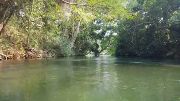 熱帯雨林側の眺めと川沿いのボート旅行からの4K映像ビュー — ストック動画