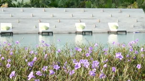 Video Sedia Sdraiata Vicino Una Piscina Con Sfondo Verde Albero — Video Stock