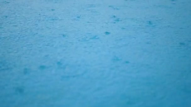Bezszwowa Pętla Materiału Powierzchni Wody Krople Deszczu Kałuża Bezszwowe Tło — Wideo stockowe