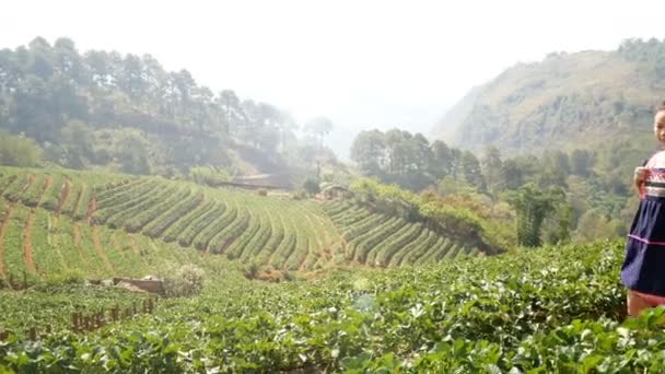 Footage Young Tribal Asian Woman Basket Thailand Walk Passing Strawberry — Stock Video