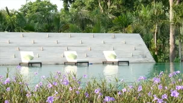 Video Sklápěcí Židle Bazénu Přírodou Zeleným Pozadím Krásnou Květinou Popředí — Stock video