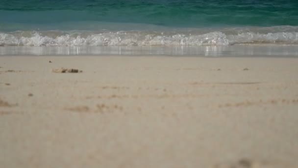 Weiche Welle Des Meeres Klares Wasser Weißen Sandstrand Mit Kopierfläche — Stockvideo