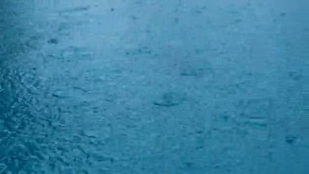 Footage Seamless Loop Closeup Footage Rain Water Surface Rain Drops — Stock Video