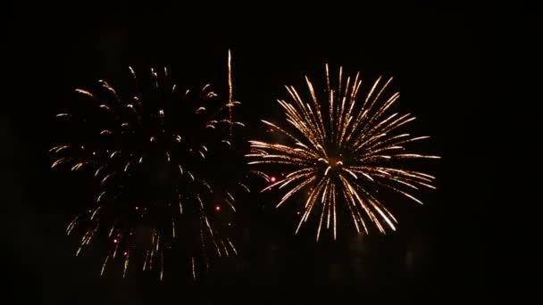 Bilder Närbild Verkliga Färgglada Fyrverkerier Festival Lyser Upp Himlen Dark — Stockvideo