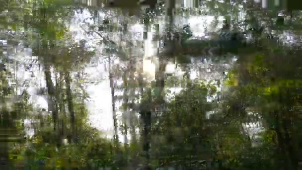 开车沿着一条林立的乡村公路拍摄的画面 阳光透过树林照进来 沿着这条路一直跑到汽车上 — 图库视频影像