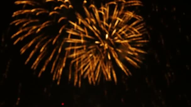 Filmato Astratto Sfocatura Primo Piano Vero Proprio Festival Fuochi Artificio — Video Stock