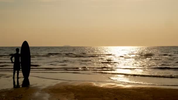 冲浪者的剪影站在海边海滩与长冲浪板在热带海滩日落 复古色彩风格 — 图库视频影像