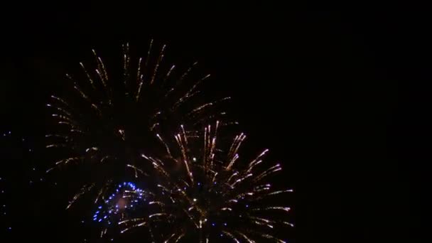 Filmmaterial Von Nahaufnahme Echtes Buntes Feuerwerk Festival Leuchtet Den Himmel — Stockvideo