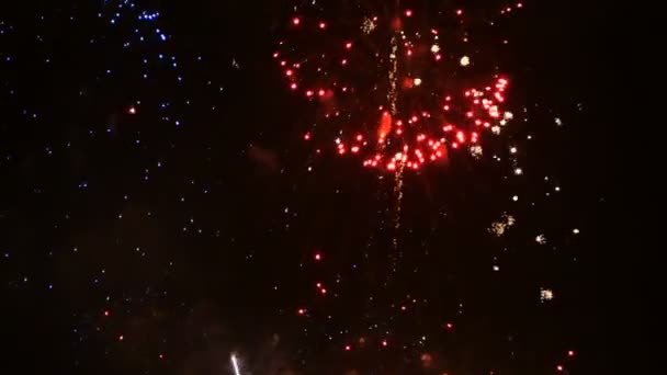 Filmagem Perto Verdadeiro Fogo Artifício Colorido Festival Iluminar Céu Cena — Vídeo de Stock