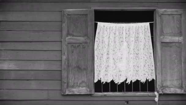 Offenes Fenster Mit Weißem Vorhang Der Sich Wind Bewegt Fensterrahmen — Stockvideo