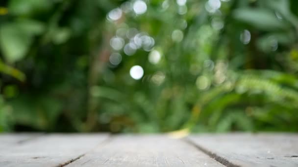 Empty Wooden Plank Green Tree Leaves Sway Wind Background Bokeh — Stock Video