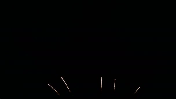 4K镜头无缝循环真正的五颜六色的烟花节在天空中显示在国庆节 新年晚会或庆祝活动活动期间的夜晚 — 图库视频影像