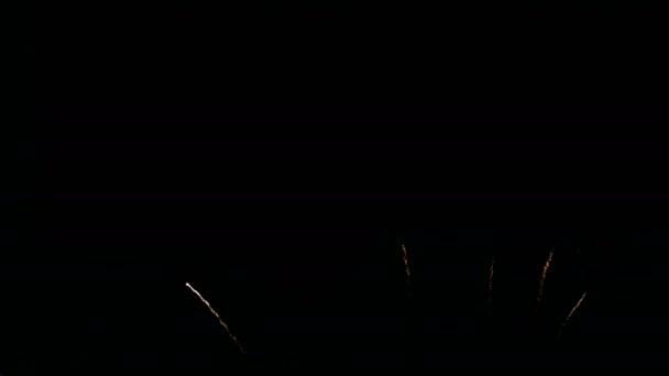 4Kだ国民の祝日 新年会やお祝い事の間の夜に空のディスプレイで実際のカラフルな花火大会のシームレスなループ — ストック動画