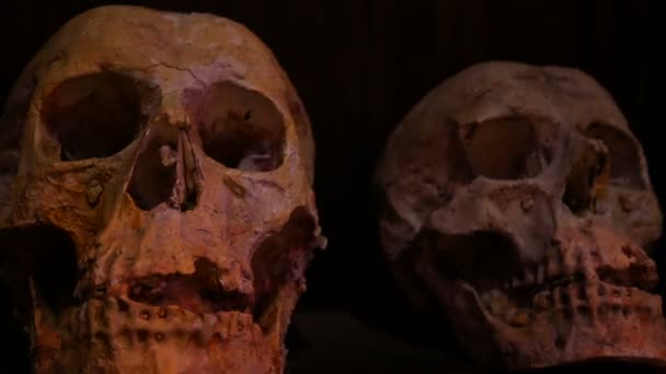 Halloween Achtergrond Concept Horror Schedel Met Het Donker Plaats Versieren — Stockvideo