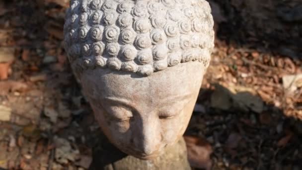 Lugn Och Fridfull Ansikte Gamla Dyrkan Buddha Staty Huvud Upplyst — Stockvideo