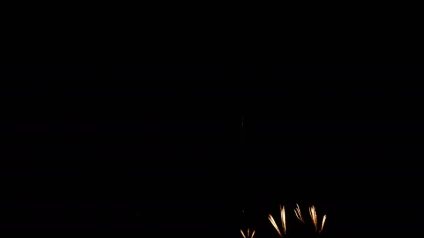在国庆节 新年晚会或庆典活动期间 在夜间的天空中展示的真正的金烟花节庆 — 图库视频影像
