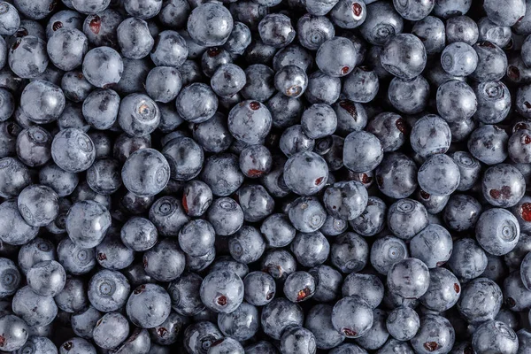 Świeże Organiczne Leśne Jagody Tło Płaskie Układanie — Zdjęcie stockowe