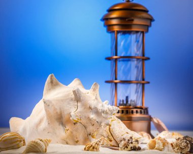 Sahilde deniz kabuklarıyla hayat