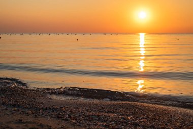 renkli bir şafak fonuna karşı deniz plajında deniz kabukları. odak kontrolü