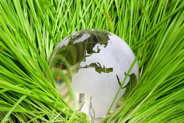 Earth in green grass — Stock Photo, Image