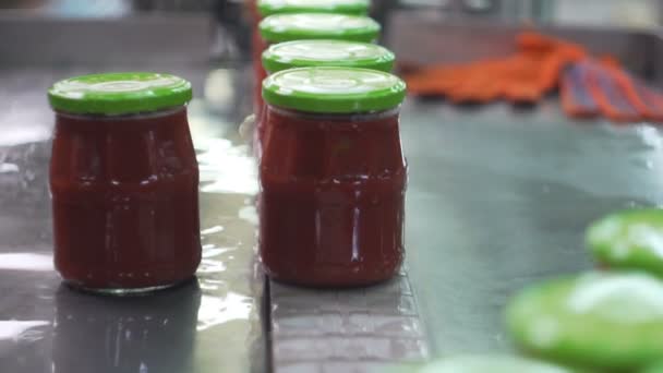 Tomatenketchup Produktion Förderbandproduktion — Stockvideo