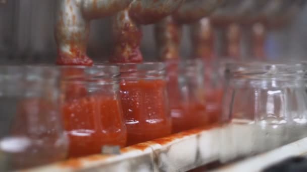 Ketchup Pomidorowy Przenośnika Produkcja — Wideo stockowe