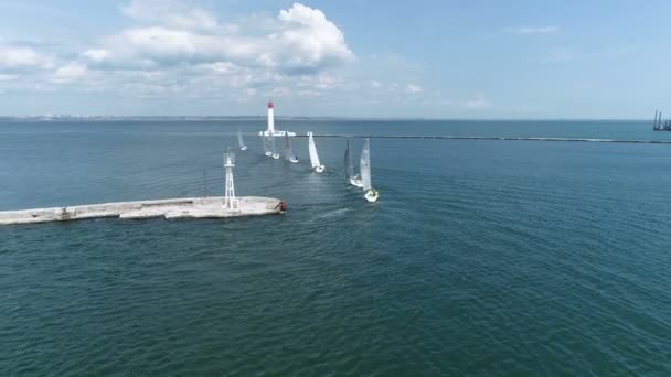 Вітрильний Регата Порту Яхти Йдуть Відкрите Море — стокове відео