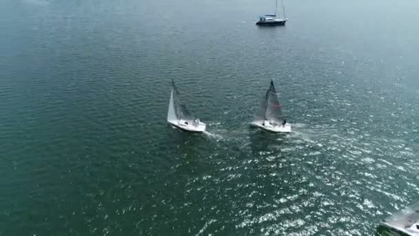 Regata Vela Puerto Yates Van Mar Abierto — Vídeo de stock