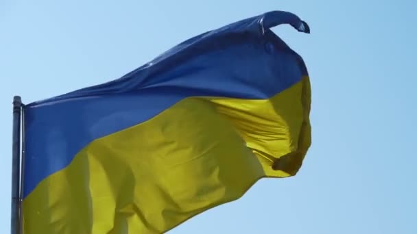 Bandera Nacional Ucrania Celebra Viento Bandera Desarrolla Sol — Vídeo de stock
