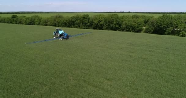 Tractor Bevrijgt Het Veld Vernietigt Ongedierte Het Gewas — Stockvideo