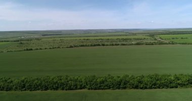 traktör tarlayı döller, mahsul üzerindeki zararlıları yok eder