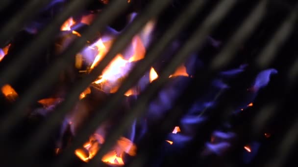 Дровяная Печь Барбекю Зажигания Угля — стоковое видео