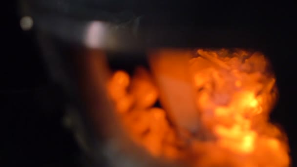 バーベキュー用キンドリング炉 石炭点火 — ストック動画