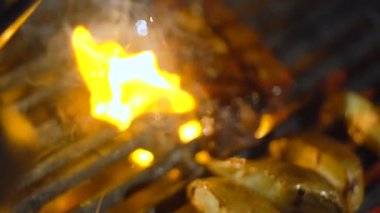 ızgarada et kavurma, kömürlerde et, kebap pişirme