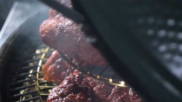Braden Van Vlees Grill Vlees Kolen Koken Kebab — Stockvideo