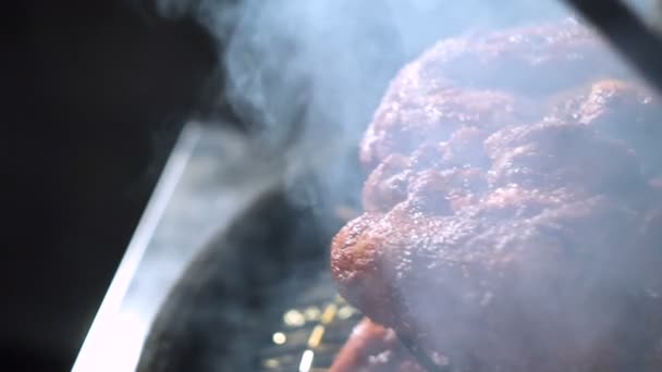 Rostning Kött Grillen Kött Kol Matlagning Kebab — Stockvideo