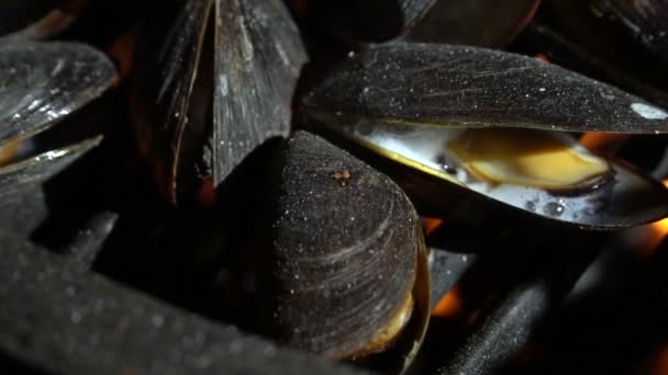 グリルでムール貝を調理し ムール貝を焙煎し 石炭の上にムール貝を焼く — ストック動画