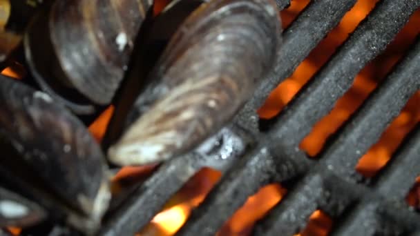 Cuisson Des Moules Sur Gril Rôtissage Des Moules Moules Sur — Video