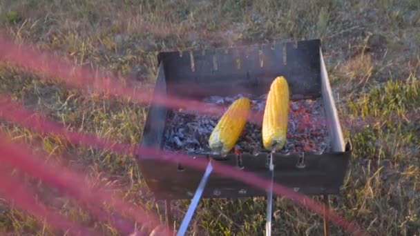 Mãe Filho Cozinham Milho Uma Grelha Piquenique Margem Rio Pôr — Vídeo de Stock