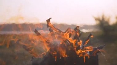 mısır, barbekü, yangın ateşleme için brazier, kömür yapma, 100fps