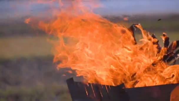 Vuurkorf Voor Maïs Barbecue Brand Ontsteking Maken Van Kolen 100Fps — Stockvideo