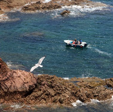yanı sıra su, Berlengas, Portekiz seyahat tekne uçan martı