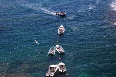 Tekne Uçan martı ile denizde ve bir hızlı bot, Berlengas, Portekiz