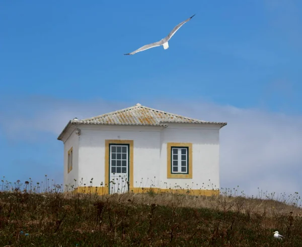 Portekiz hill, mavi gökyüzüne, Berlengas, üzerinde küçük ev uçan martı