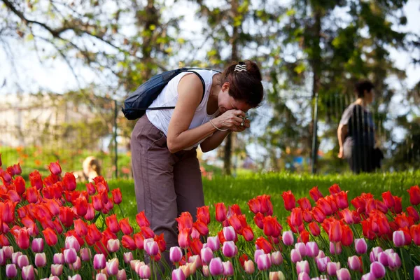 Kvinna Fotografera Blommor Tulpaner — Stockfoto