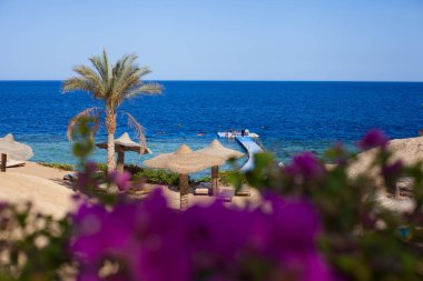 Red Sea, Şarm El-Şeyh, Mısır