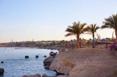 Red Sea, Şarm El-Şeyh, Mısır